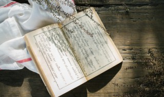 子系中山狼得志便猖狂的意思 子系山中狼 得志便猖狂