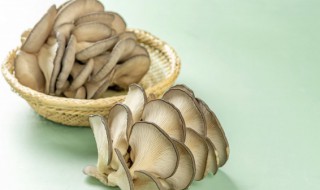 干草菇泡了几天可以吃吗 草菇干要泡多久