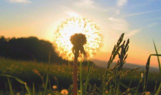 心情说说感悟生活经典语录 心情说说感悟生活 经典语录