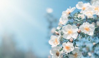 关于人生的感悟句子 人生感悟的句子发朋友圈