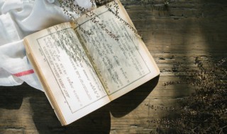 中国成语故事大全 成语故事