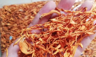 怎么区别硫磺虫草花（虫草花有硫磺吗）