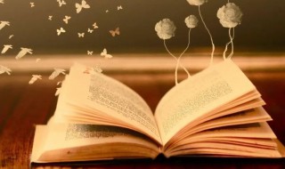 客心洗流水馀响入霜钟的意思（响入霜钟是什么意思）