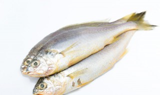 煮鱼要多长时间 蒸鲫鱼要多长时间熟