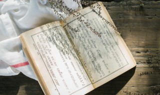 至尊少年王结局如何 至尊少年王结局如何解析