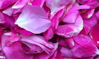 长期吃玫瑰花粉的危害 长期吃玫瑰花粉好不好?