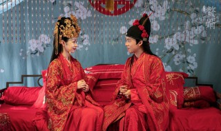 赘婿演员表有谁（赘婿的全部演员列表）