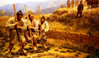 租佃关系的发展历程（租佃经济发展历程）