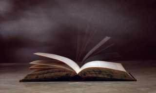 谁怜散髻吹笙天涯芳草关情的意思 调角断清秋征人倚戍楼的意思