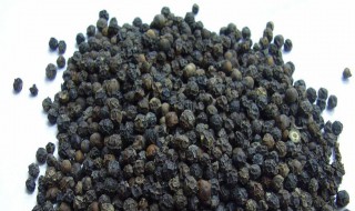 黑芥子的功效与作用（黑芥功效与作用是什么）