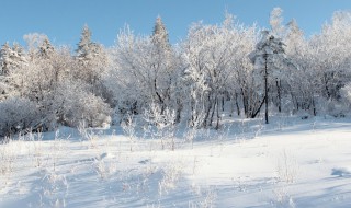 越是艰险越向前上一句（《越是艰险越向前》）