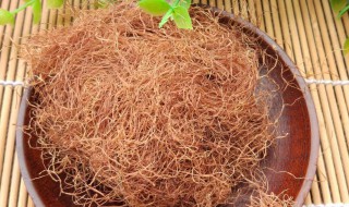 玉米须的药用价值（玉米须泡水喝的功效与作用）