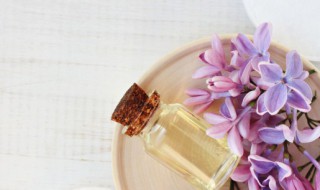 茶树精油的功效与用法（茶树精油的功效与用法用量）