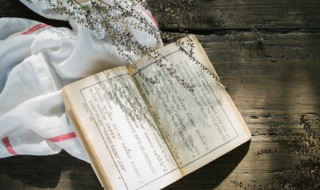 都云作者痴谁解其中味的意思 都云作者痴 谁解其中味