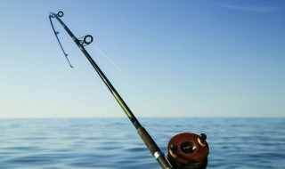 一正宗鱼饵使用方法（简单实用的鱼饵）