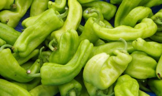 尖椒如何选购 怎么挑选菜椒