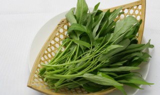 菜市场买菜怎么挑选（菜市场买菜怎么挑选好的）