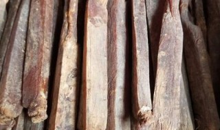 怎么挑选别直参 什么样的别直参好