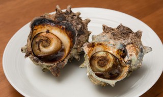 如何挑选海螺(如何挑选海螺壳赏玩)