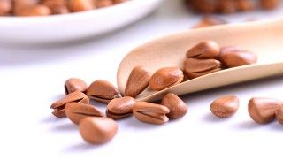 松子怎么挑选(松子怎么挑选才好吃)