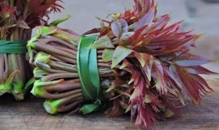 怎么挑选香椿呢 怎样挑选香椿