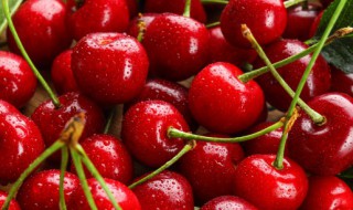 如何挑选樱桃 如何挑选樱桃种子
