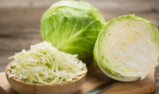 包菜怎么挑选（包菜怎么挑选新鲜的）
