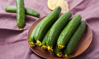 油黄瓜的正宗腌制方法 腌制咸黄瓜的制作方法