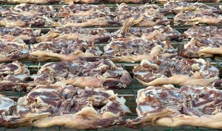 正宗腊鸭的腌制方法（正宗腊鸭的腌制方法视频）