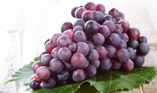 正宗葡萄酒的酿制方法 葡萄酒怎么酿法