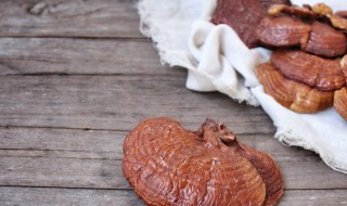 灵芝泡酒的功效与作用及食用方法 灵芝泡酒的功效与作用及食用方法禁忌