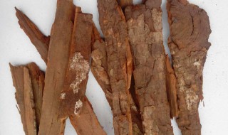 卡宾达树皮的功效用法（非洲卡宾达树皮的功效用法）