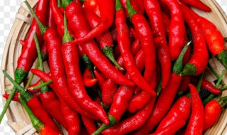泰椒的腌制方法 泰椒的腌制方法和配料