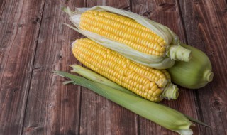 玉米一般几月份播种 玉米一般几月份播种好