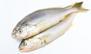 孕妇梦见鱼是什么意思?有什么预兆? 孕妇梦见鱼是什么意思?有什么预兆解梦