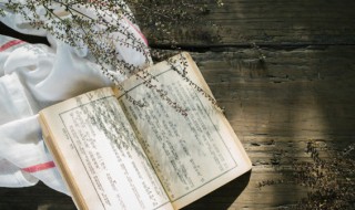 此时无声胜有声下一句（此时无声胜有声下一句搞笑）