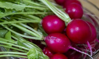 萝卜丝怎么凉拌好吃 糖醋白萝卜丝怎么凉拌好吃