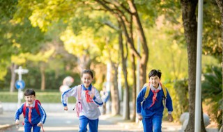 学生异地办理身份证需要什么材料（异地能办理身份证件吗）