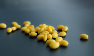 四川豆花的正宗做法（成都豆花做法）