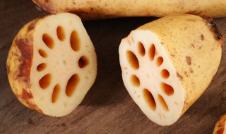 财鱼焖藕的正宗做法 财鱼焖藕的正宗做法大全