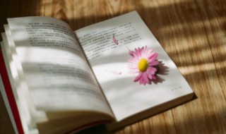 桔组词 怎么组词二年级上册