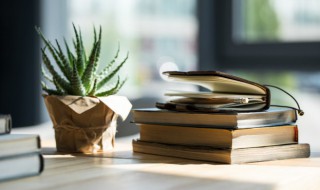 芦荟繁殖方法(芦荟直接剪断插土里可以活吗)