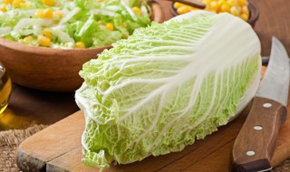 白菜帮怎么腌制好吃 腌制白菜帮的做法大全