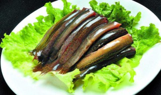 鉴别野生泥鳅的方法 鉴别野生泥鳅的方法是