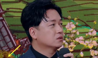 潘粤明天天向上哪一期(董洁潘粤明天天向上)