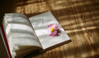 惩前毖后的拼音（惩前毖后的拼音和组词）