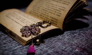 一丘之貉拼音 一丘之貉拼音是什么