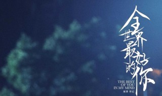 宋伊人张耀演过什么电视剧(宋伊人张耀演过什么电视剧名字)