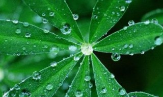 谷雨节气适合钓鱼吗（谷雨节气好钓鱼吗）