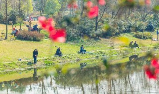 春季钓鱼早上好呢还是下午好（春季钓鱼早上好钓还是下午好钓）